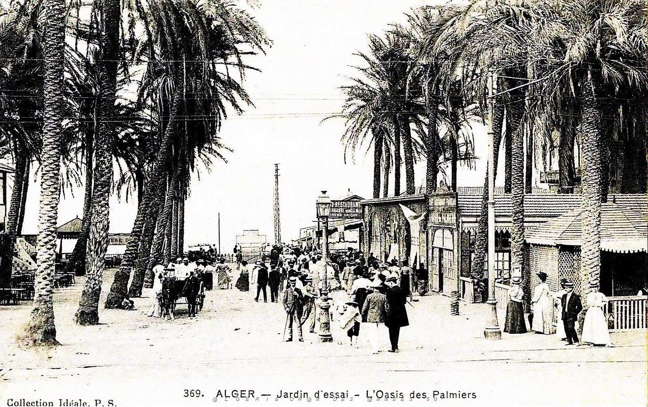 1947- Alger - Jardin d'essai - L'Oasis des Palmiers.jpg